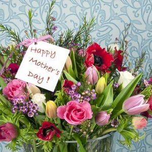 Meet your Posher, Bozena